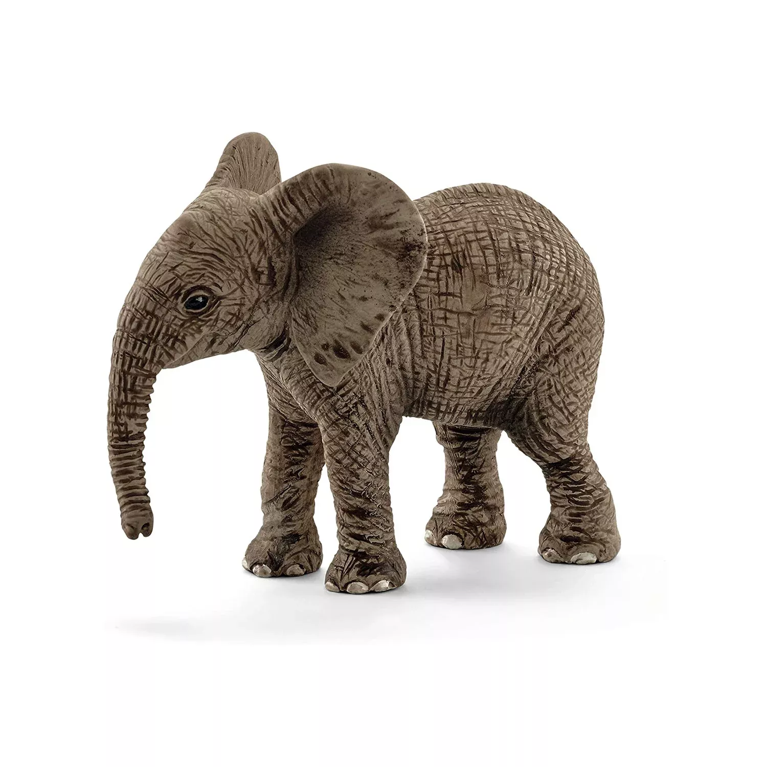 elephant-african-calf Elephant African Calf