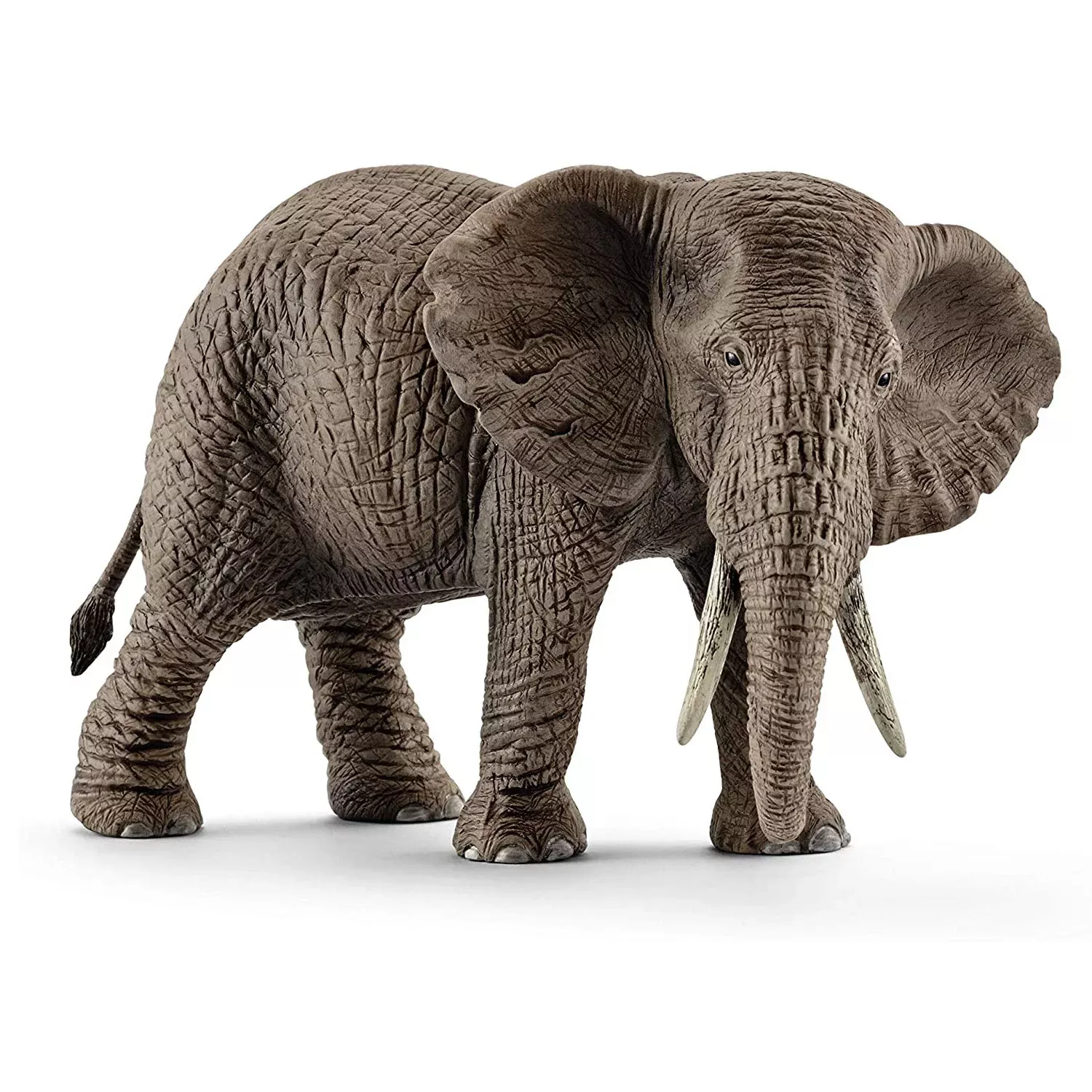 elephant-african-female Elephant African Female