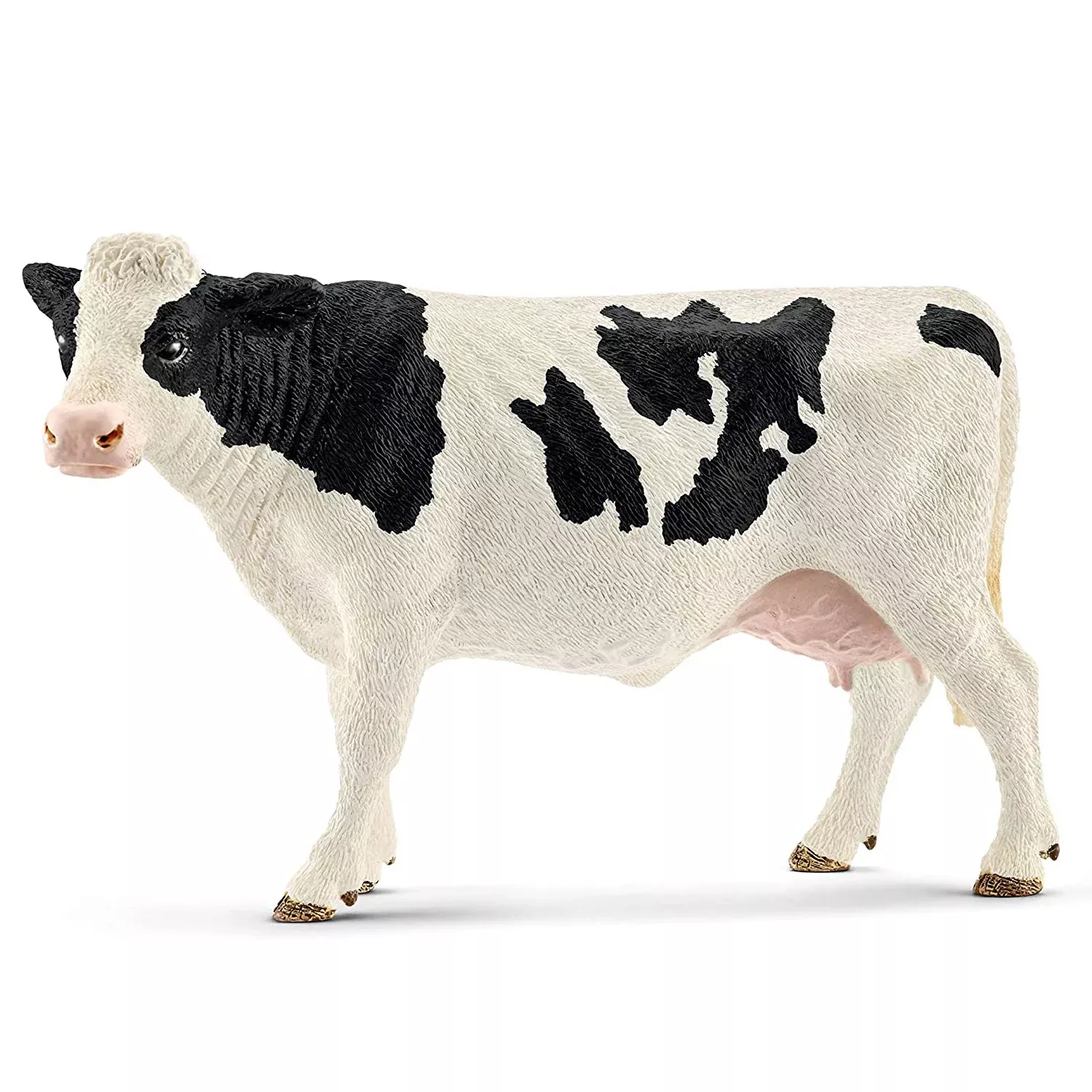holstein-cow Holstein Cow