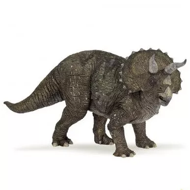 triceratops Triceratops